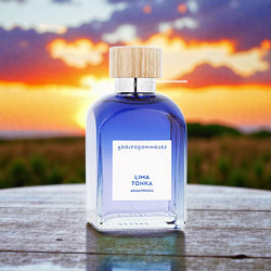 Agua Fresca Lima Tonka