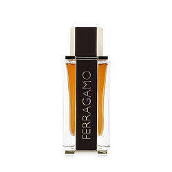 Ferragamo Ferragamo Spicy Leather 100 ml profumo uomo