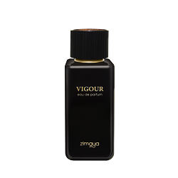 Vigour Eau de Parfum (uomo) 100 ml