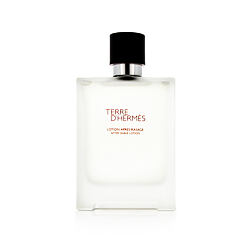 Hermès Terre D'Hermès 100 ml profumo unisex