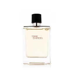 Hermès Terre D'Hermès 100 ml profumo uomo