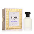 Classic 1920 100ml - Bois 1920