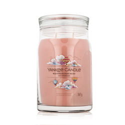 Candela profumata Praline & Birch 567 g