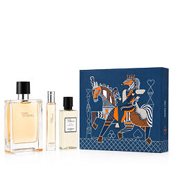 Hermès Terre D'Hermès 100 ml profumo unisex