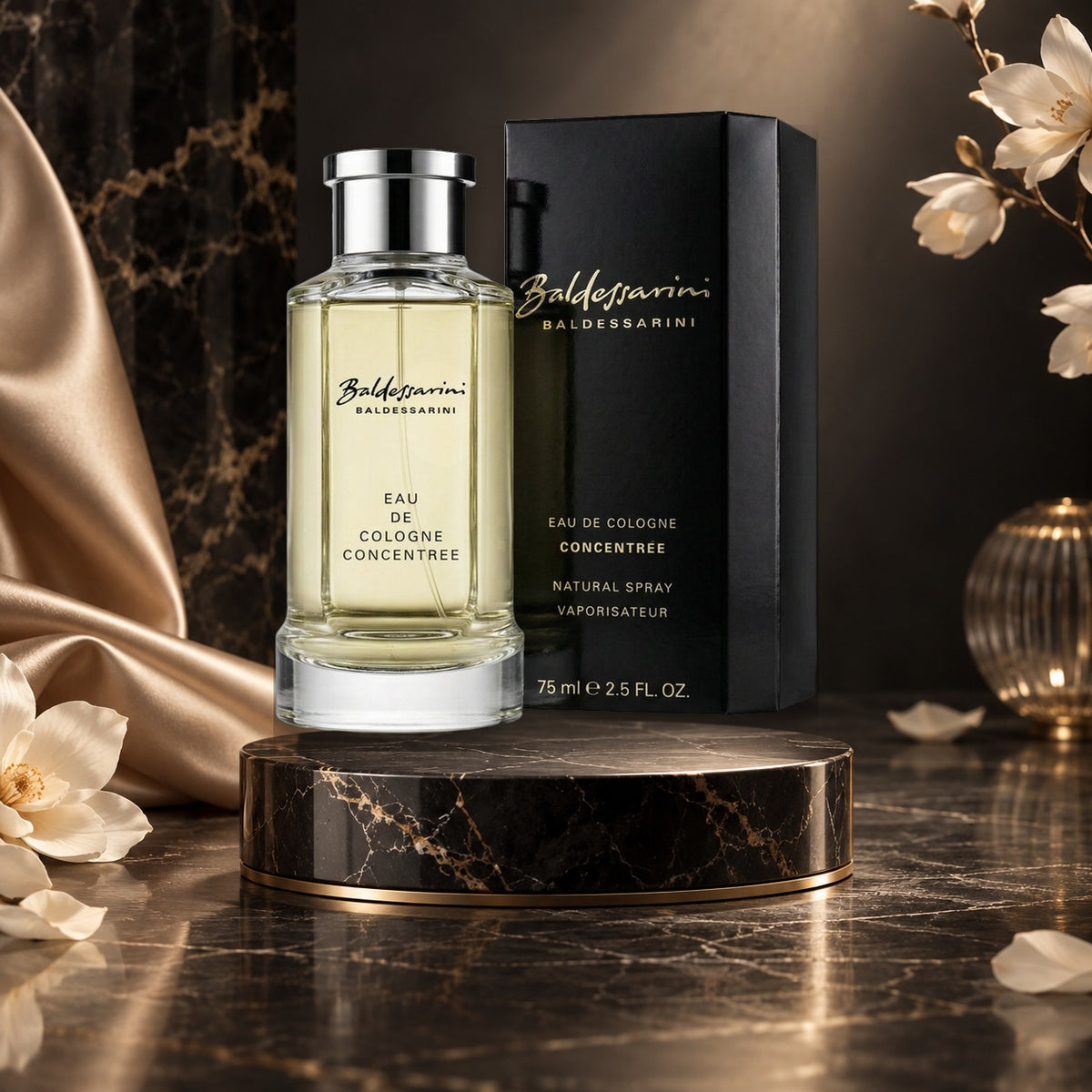 Concentrée - NewBelle luxury